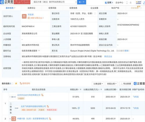 飛利信進(jìn)軍地理遙感領(lǐng)域，在湖北投資設(shè)立數(shù)字科技新公司